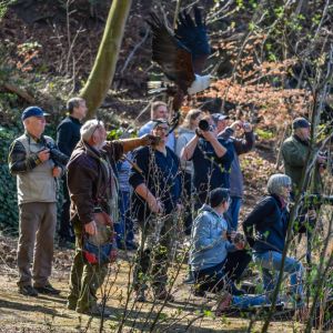 Unter Adler